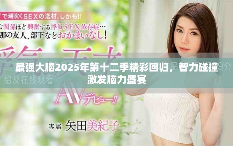 最强大脑2025年第十二季精彩回归，智力碰撞激发脑力盛宴