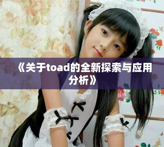 《关于toad的全新探索与应用分析》