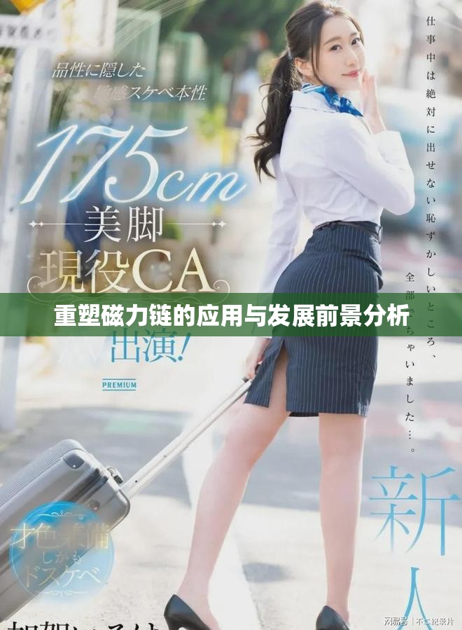 重塑磁力链的应用与发展前景分析