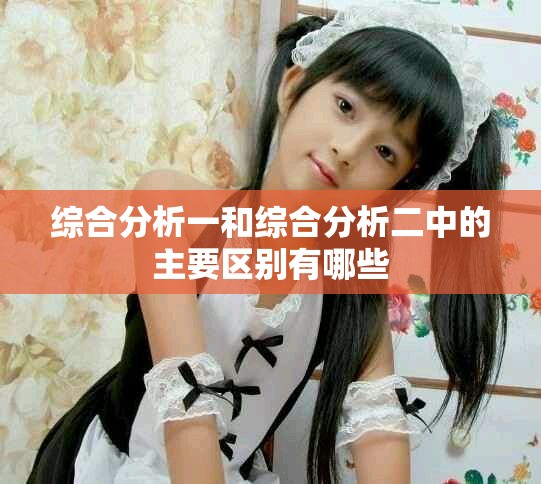 综合分析一和综合分析二中的主要区别有哪些