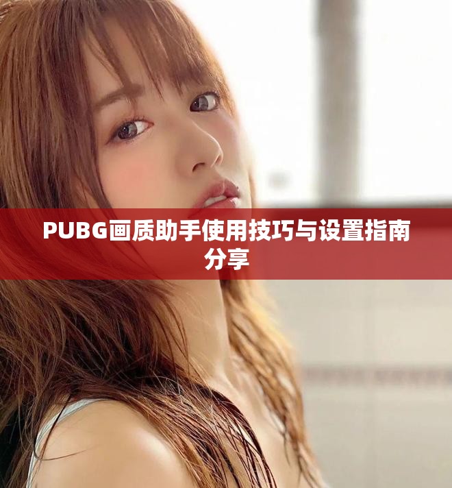 PUBG画质助手使用技巧与设置指南分享