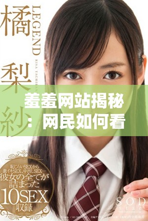 羞羞网站揭秘：网民如何看待这一新兴平台
