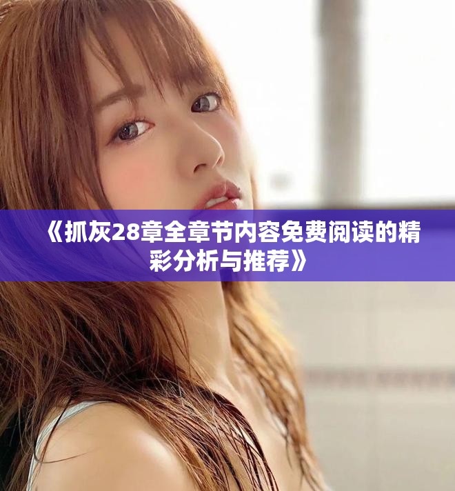 《抓灰28章全章节内容免费阅读的精彩分析与推荐》