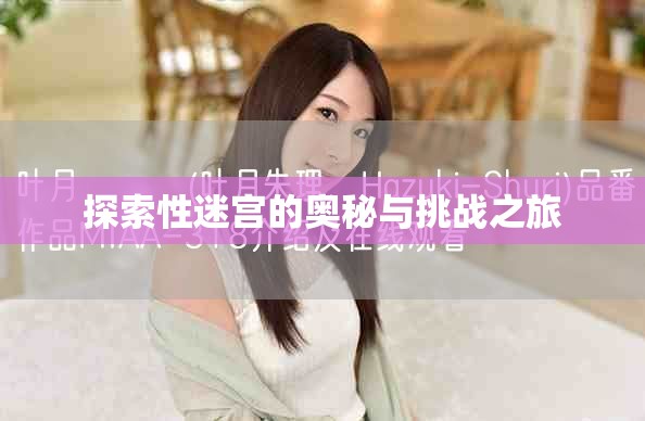 探索性迷宫的奥秘与挑战之旅