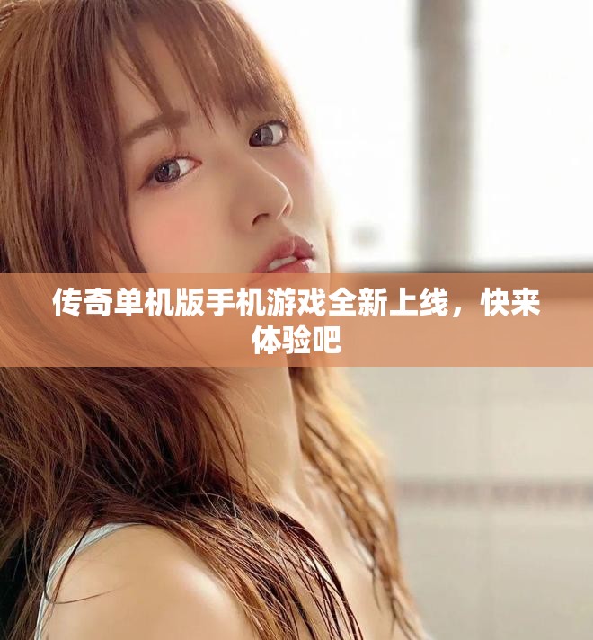 传奇单机版手机游戏全新上线，快来体验吧