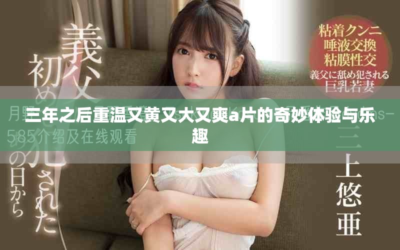 三年之后重温又黄又大又爽a片的奇妙体验与乐趣