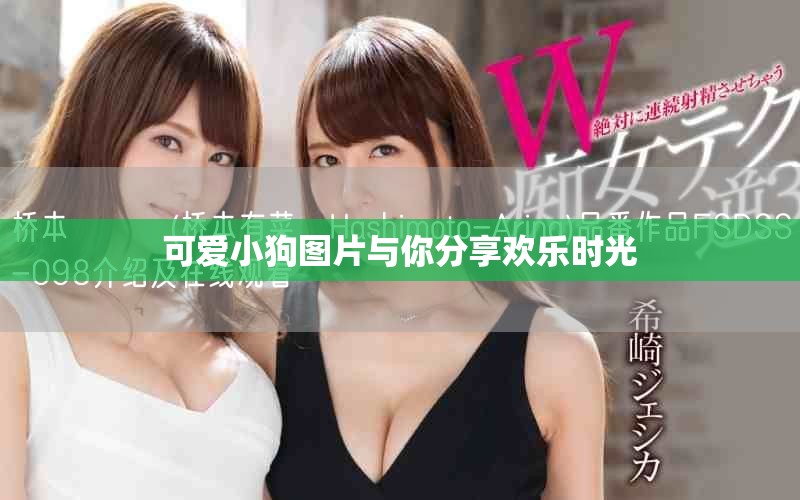 可爱小狗图片与你分享欢乐时光