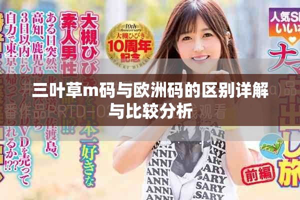三叶草m码与欧洲码的区别详解与比较分析