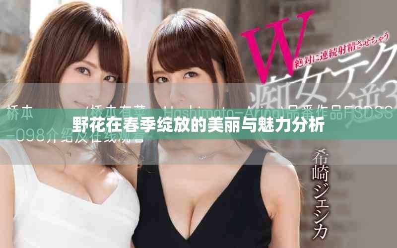 野花在春季绽放的美丽与魅力分析