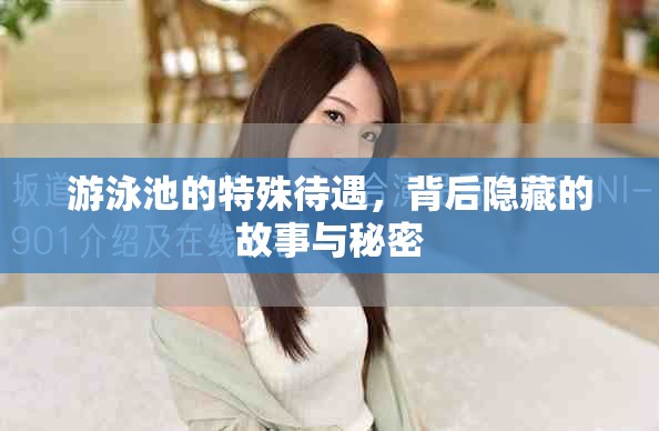 游泳池的特殊待遇，背后隐藏的故事与秘密