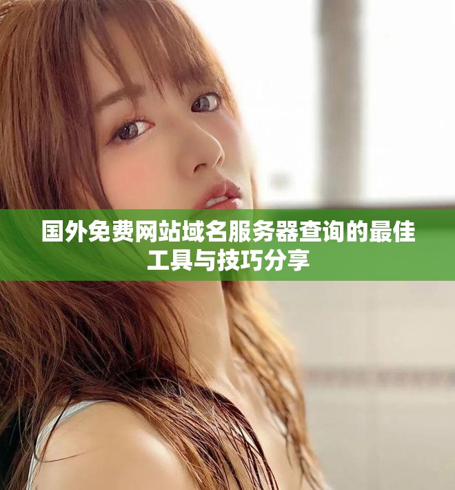 国外免费网站域名服务器查询的最佳工具与技巧分享