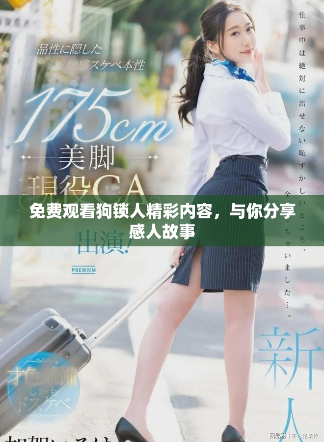 免费观看狗锁人精彩内容，与你分享感人故事