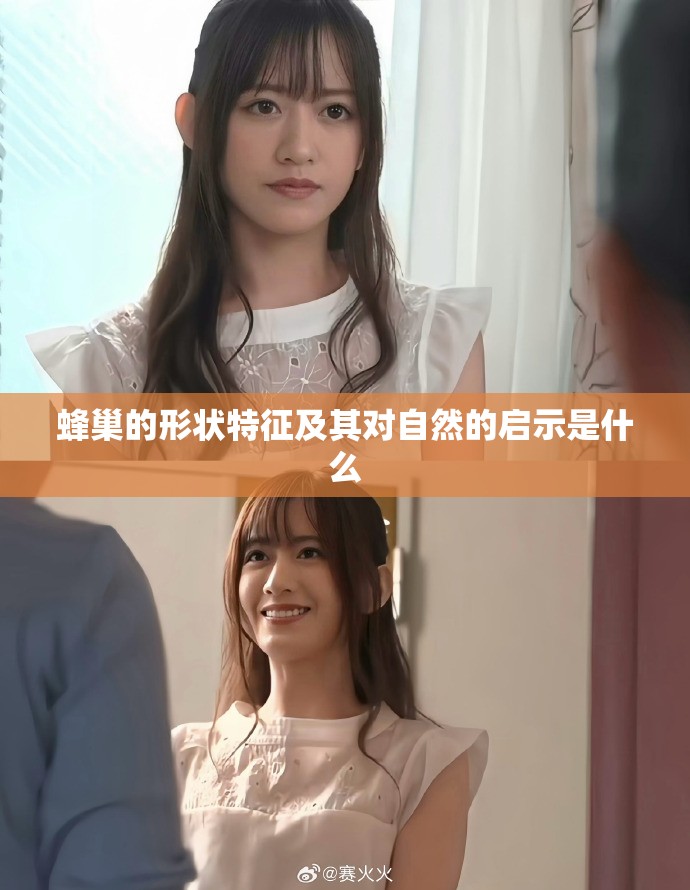 蜂巢的形状特征及其对自然的启示是什么
