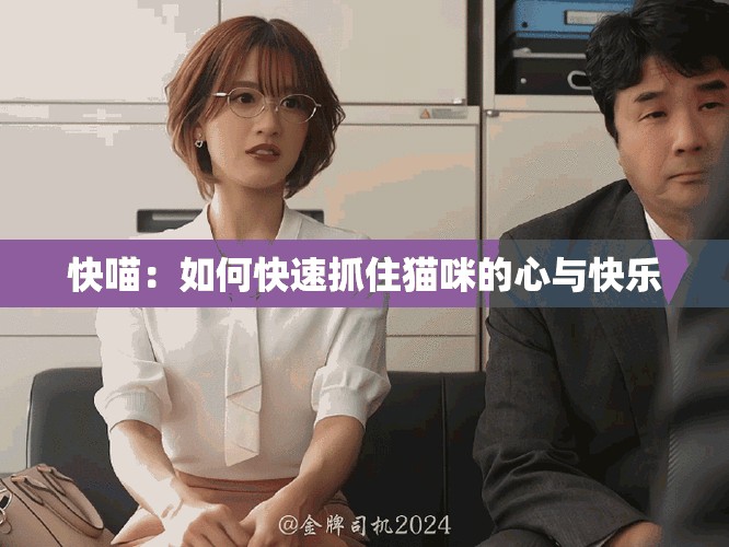 快喵：如何快速抓住猫咪的心与快乐
