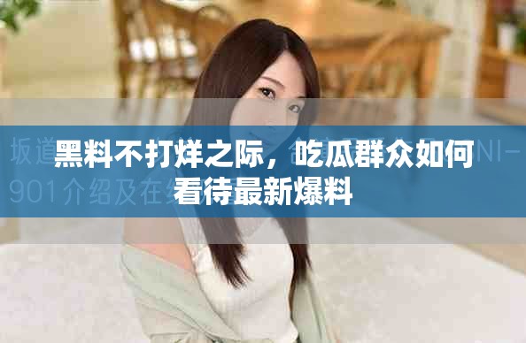 黑料不打烊之际，吃瓜群众如何看待最新爆料