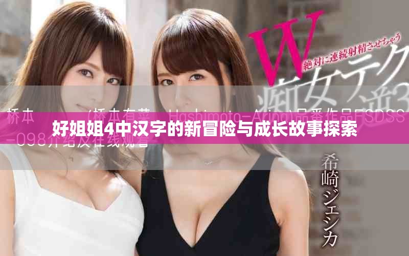 好姐姐4中汉字的新冒险与成长故事探索