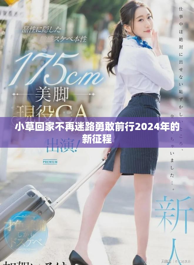 小草回家不再迷路勇敢前行2024年的新征程