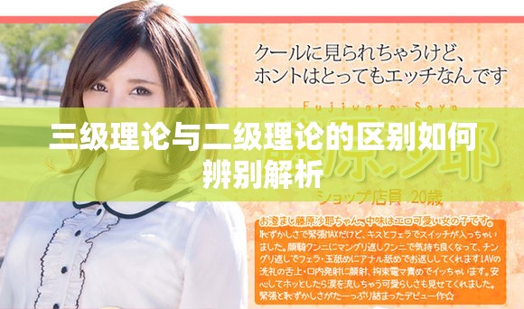 三级理论与二级理论的区别如何辨别解析
