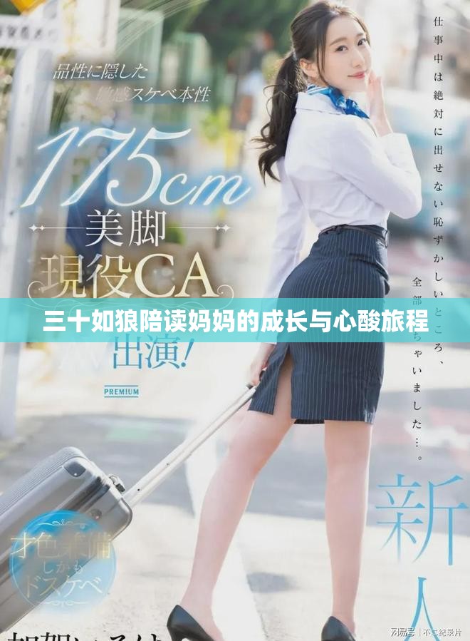 三十如狼陪读妈妈的成长与心酸旅程