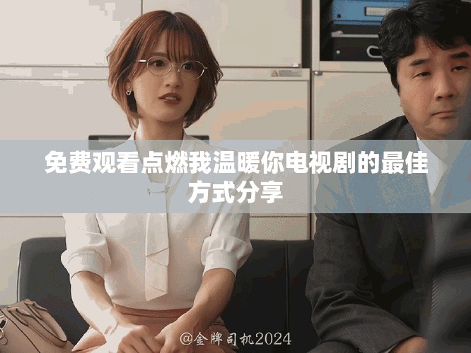 免费观看点燃我温暖你电视剧的最佳方式分享