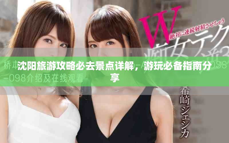 沈阳旅游攻略必去景点详解，游玩必备指南分享