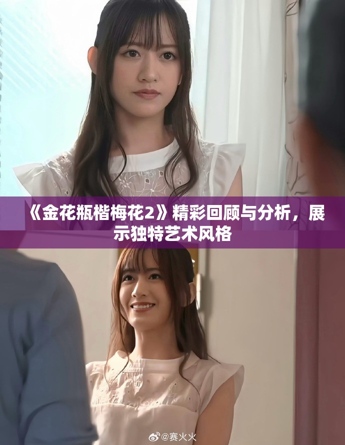《金花瓶楷梅花2》精彩回顾与分析，展示独特艺术风格
