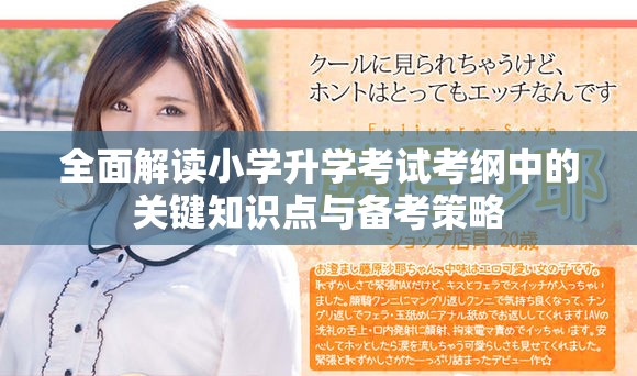 全面解读小学升学考试考纲中的关键知识点与备考策略