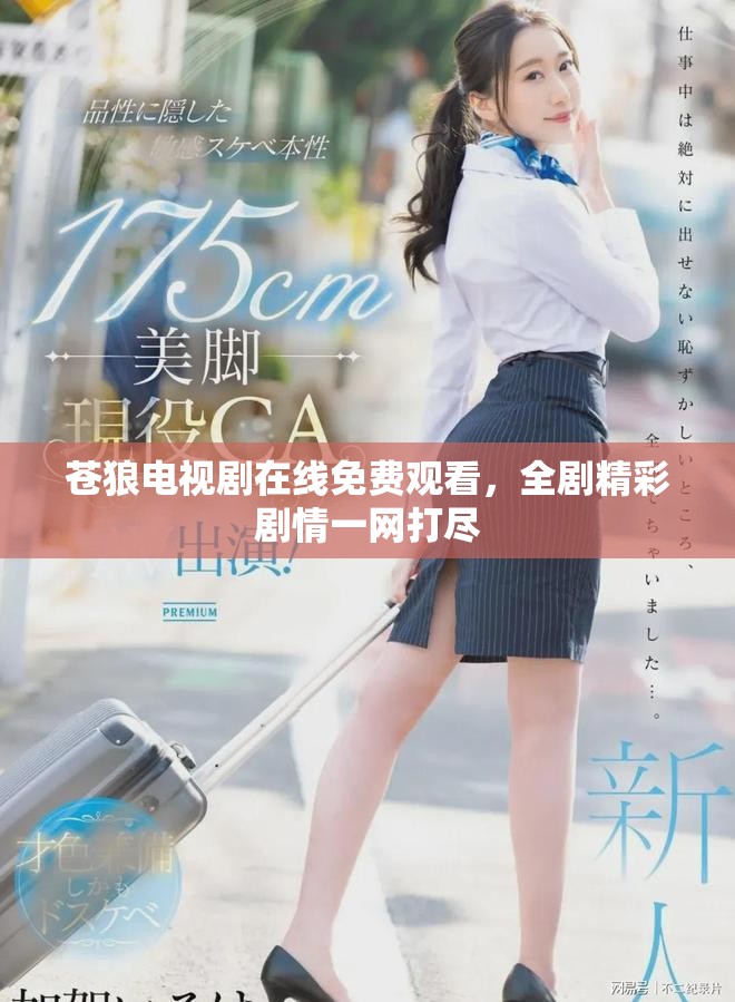 苍狼电视剧在线免费观看，全剧精彩剧情一网打尽