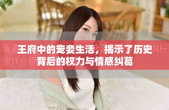 王府中的宠妾生活，揭示了历史背后的权力与情感纠葛