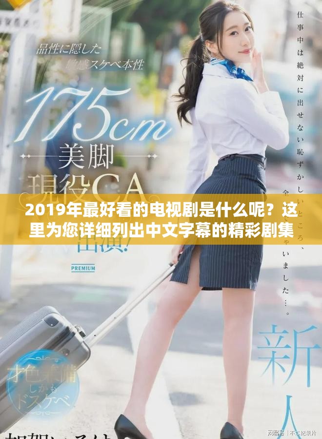 2019年最好看的电视剧是什么呢？这里为您详细列出中文字幕的精彩剧集。