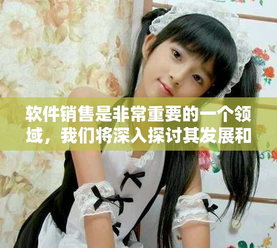 软件销售是非常重要的一个领域，我们将深入探讨其发展和现状