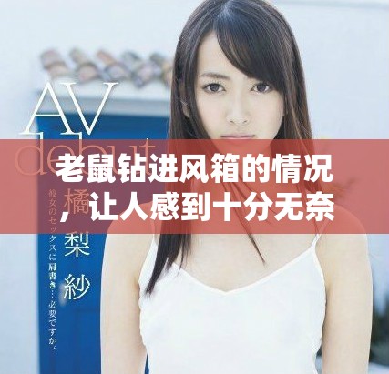 老鼠钻进风箱的情况，让人感到十分无奈和困扰
