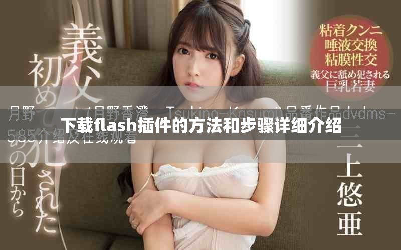 下载flash插件的方法和步骤详细介绍