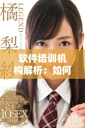 软件培训机构解析：如何选择适合你的软件学习路径与课程