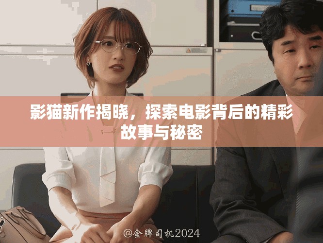 影猫新作揭晓，探索电影背后的精彩故事与秘密