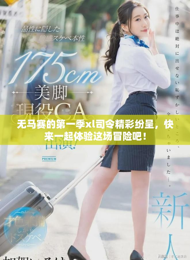 无马赛的第一季xl司令精彩纷呈，快来一起体验这场冒险吧！