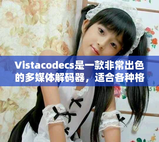 Vistacodecs是一款非常出色的多媒体解码器，适合各种格式的播放需求