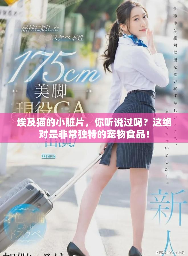 埃及猫的小脏片，你听说过吗？这绝对是非常独特的宠物食品！