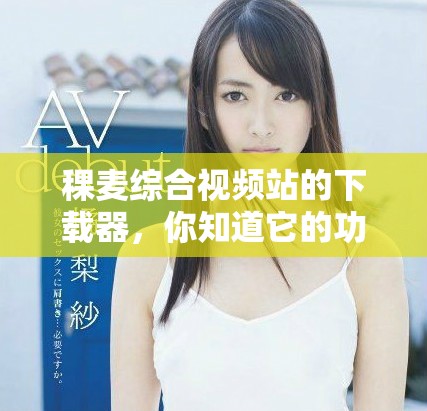 稞麦综合视频站的下载器，你知道它的功能吗，快来了解一下吧！