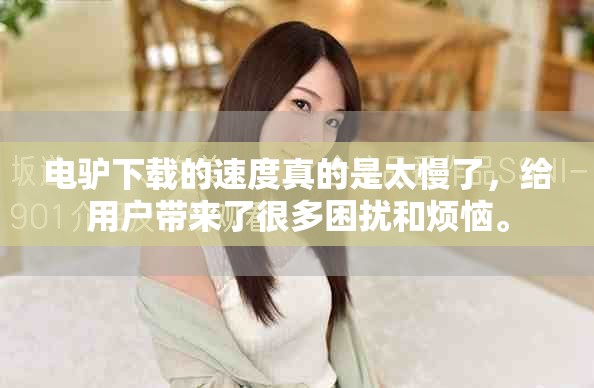 电驴下载的速度真的是太慢了，给用户带来了很多困扰和烦恼。