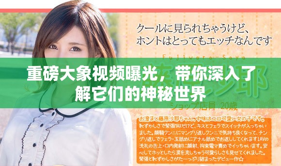 重磅大象视频曝光，带你深入了解它们的神秘世界
