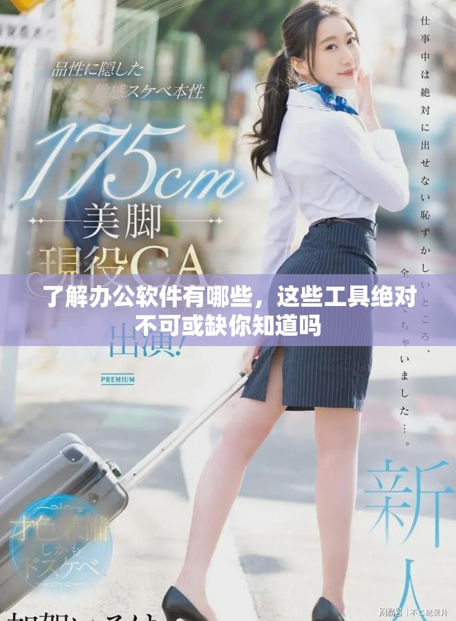 了解办公软件有哪些，这些工具绝对不可或缺你知道吗