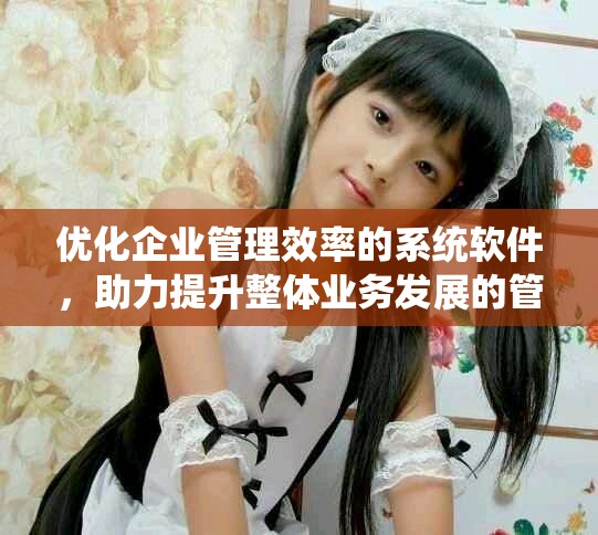 优化企业管理效率的系统软件，助力提升整体业务发展的管理工具