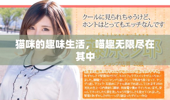 猫咪的趣味生活，喵趣无限尽在其中