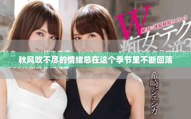 秋风吹不尽的情绪总在这个季节里不断回荡