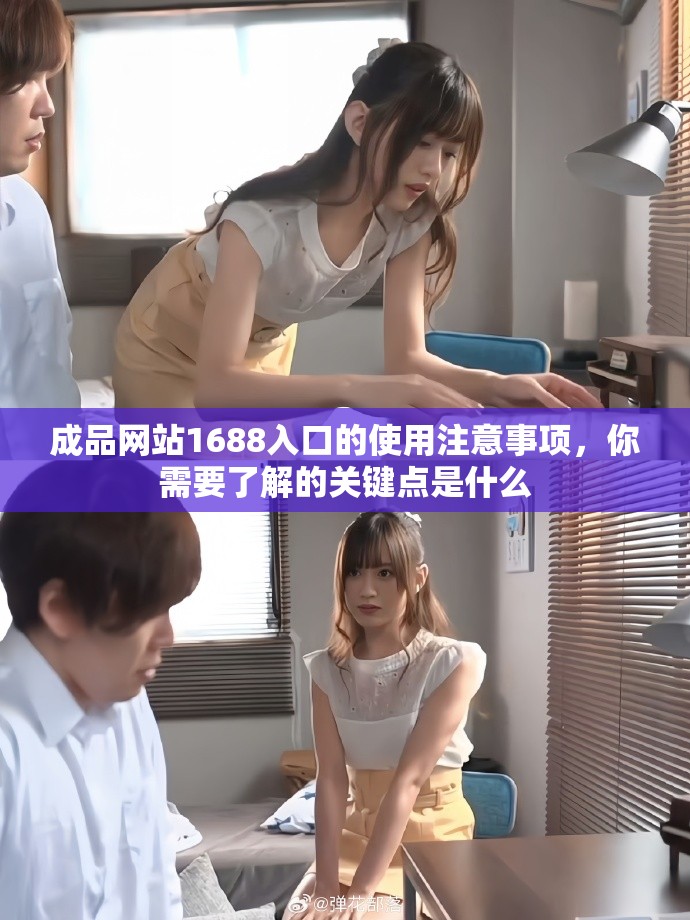 成品网站1688入口的使用注意事项，你需要了解的关键点是什么
