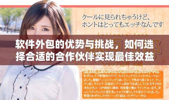 软件外包的优势与挑战，如何选择合适的合作伙伴实现最佳效益