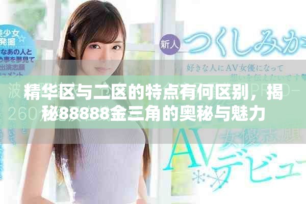 精华区与二区的特点有何区别，揭秘88888金三角的奥秘与魅力