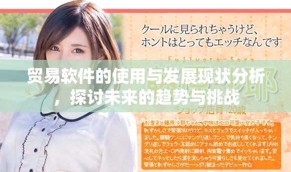 贸易软件的使用与发展现状分析，探讨未来的趋势与挑战