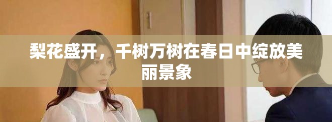 梨花盛开，千树万树在春日中绽放美丽景象